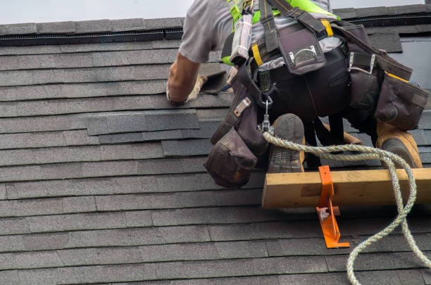 Best Storm Damage Roof Repair  in Millington, TN